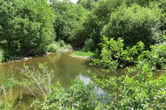 11c. Flowing past Lyncombe Wood  (7)