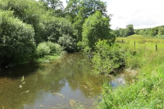 11c. Flowing past Lyncombe Wood  (8)