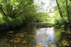 11c. Flowing past Lyncombe Wood  (9)