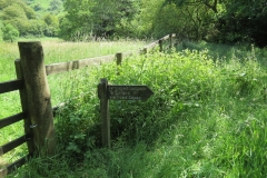 11c. Upstream from Lyncombe (1)