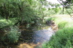 11c. Upstream from Lyncombe (10)