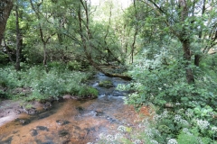 11c. Upstream from Lyncombe (14)