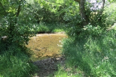 11c. Upstream from Lyncombe (3)