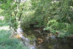 11c. Upstream from Lyncombe (8)