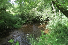 12. Upstream from Lyncombe