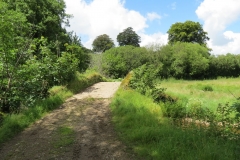 14a.Lyncombe Bridge
