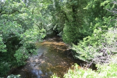 15. Looking downstream from Lyncombe Bridge