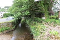 3. Looking downstream from  Exford Bridge (2)