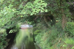 3. Looking downstream from  Exford Bridge (3)