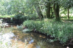 4. Flowing behind the Youth Hostel in Exford (10)
