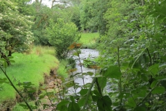 4. Flowing behind the Youth Hostel in Exford (11)