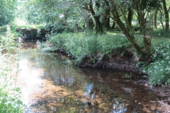 4. Flowing behind the Youth Hostel in Exford (8)