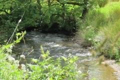 5. Downstream from Exford (1)