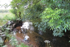 5. Downstream from Exford (10)