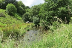 5. Downstream from Exford (2)