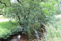 5. Downstream from Exford (4)