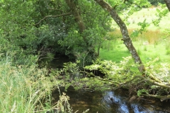 5. Downstream from Exford (5)
