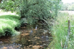 5. Downstream from Exford (6)
