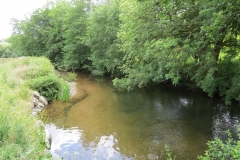 5. Downstream from Exford (7)