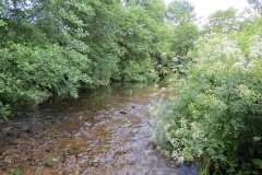 5. Downstream from Exford (9)