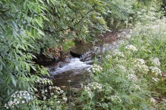 6. Upstream from Court Cottage Bridge (1)