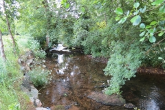 6. Upstream from Court Cottage Bridge (2)