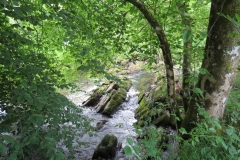 6. Upstream from Court Cottage Bridge (3)
