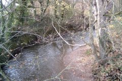 4.-Looking-down-stream-from-Alford-Farm-Bridge