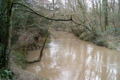 51.-Downstream-View-West-of-Alford-Church