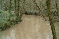 55.-Upstream-from-Footbridge-West-of-Alford-Church