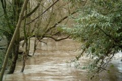 58.-Downstream-from-Footbridge-West-of-Alford-Church
