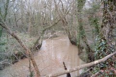 63.-Upstream-from-Hornblotton-Mill-Footbridge