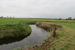 13.-Upstream-from-confluence-with-Perrymoor-Brook-1