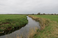 13.-Upstream-from-confluence-with-Perrymoor-Brook-3