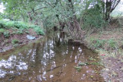 4.-Downstream-from-Cannington-Weir-1