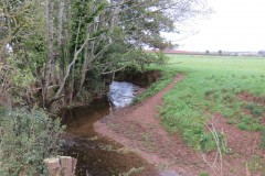 4.-Downstream-from-Cannington-Weir-4