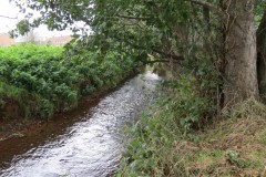 4.-Downstream-from-Cannington-Weir-5