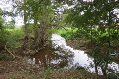 4.-Downstream-from-Cannington-Weir