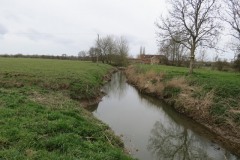 14.-Mill-Brook-joins-the-River-Parrett