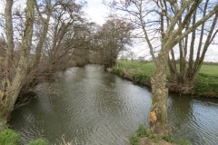 3.-Upstream-from-Careys-Mill-11