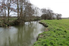 3.-Upstream-from-Careys-Mill-12