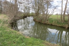 3.-Upstream-from-Careys-Mill-2