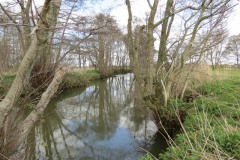 3.-Upstream-from-Careys-Mill-4