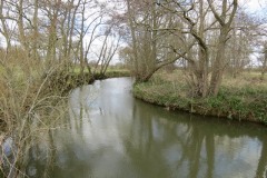 3.-Upstream-from-Careys-Mill-5
