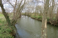 3.-Upstream-from-Careys-Mill-6