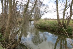 3.-Upstream-from-Careys-Mill-9