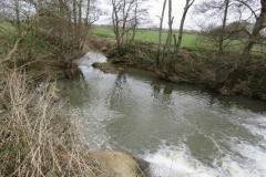 5.-Downstream-from-Ham-weir-1
