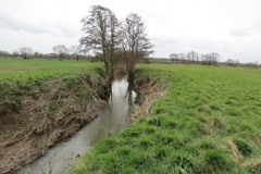5.-Downstream-from-Ham-weir-2