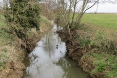 9.-Upstream-from-Gawbridge-Mill-1