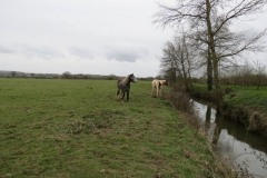 9.-Upstream-from-Gawbridge-Mill-9